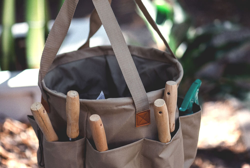 Getting Started: The Essential Tools for Every Gardener